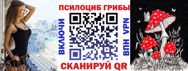 ОМГ ОМГ зеркало  Краснокаменск  Псилоцибиновые грибы Psilocybe 